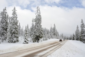 Road through a Winter Wonderland - Salen in Sweden.