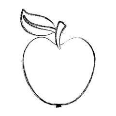 apple fresh fruit icon vector illustration design