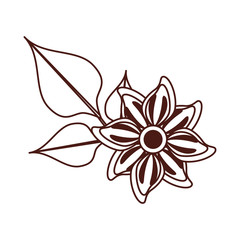 beautiful flower decorative icon vector illustration design