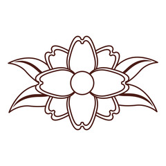 beautiful flower decorative icon vector illustration design