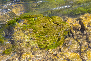 flowing water scenery