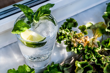 Vodka or Gin Tonic Cocktail with lime, mint leaves and ice at the garden (natural light)