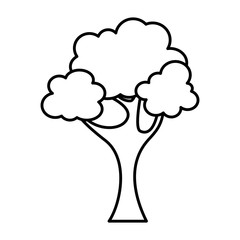 tree plant isolated icon vector illustration design