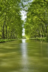 Photo sur Plexiglas Canal Canal du Midi, Carcassonne, Aude, France 
