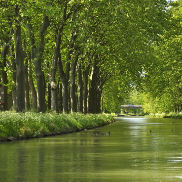 Canal du Midi, Carcassonne, Aude, France 