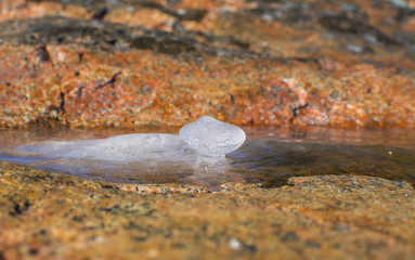 Ice formation on the rocks