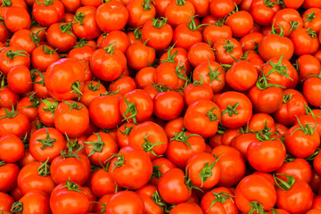 group of red tomatoes