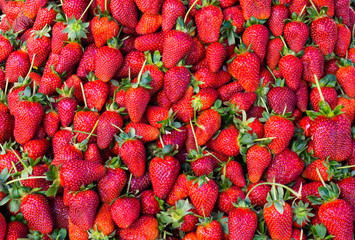 red strawberry. background