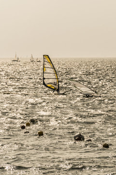 Windsurfer