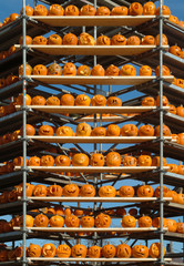 Jack o' Lanterns on Scaffolding at a pumpkin festival