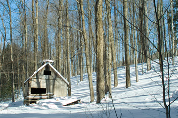 Abandoned New England Maple Sugarhouse
