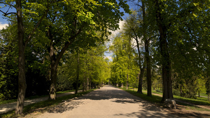 Fototapeta premium city park Prague