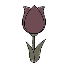 cute flower isolated icon vector illustration design