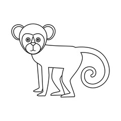Titi monkey isolated icon vector illustration design