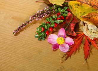 Composition automnale