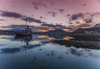 wybrzeże Ushuaia, Ziemia ognista, Tierra del Fuego, Argentyna © Rafał Bachanek