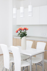 interior house, large modern kitchen