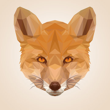 Red Fox - Illustration - Low Poly Graphic