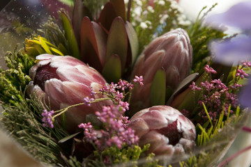 Spring bouquet of red protea, waxflower a for a special wedding ceremony