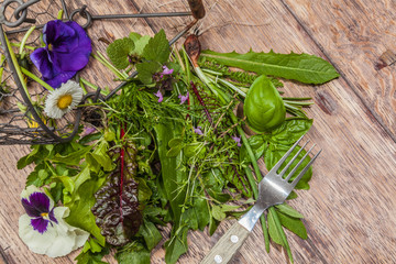 Frische Wildkräuter für einen Salat