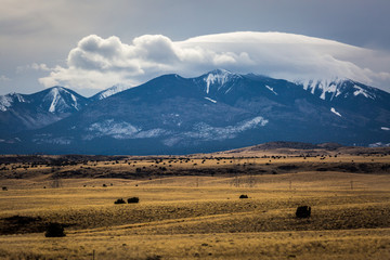 Arizona Landscape