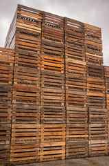 Several stacks of brown wooden pallets