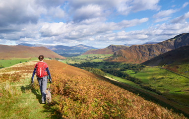 Fototapeta na wymiar A hiker walking down towards High Snab Bank from the summit of Robinson in the Lake District, England, UK.