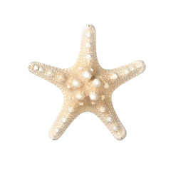 Starfish isolated on white © ffphoto