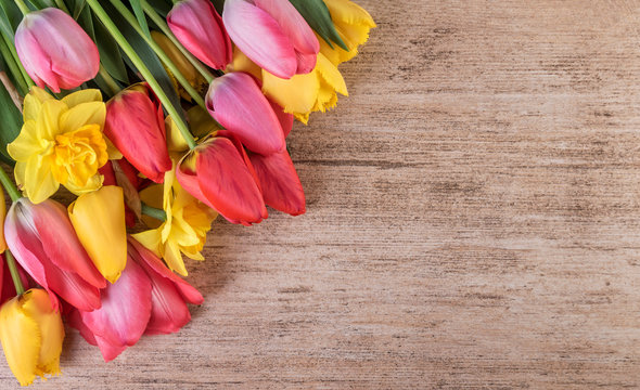 Bunch of colorful tulips on retro brown background  with text space