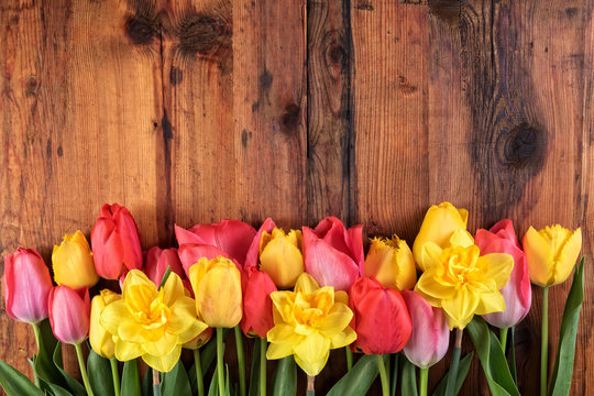 Bright flowers in row on dark wooden background with copy space