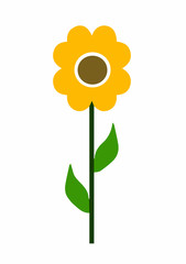 yellow sunflower helios vector