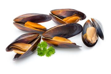 Mussels isolated on white background. Sea food. © gitusik