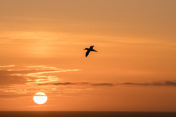 Fototapeta na wymiar sunset at the island Helgoland Germany