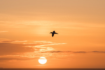 sunset at the island Helgoland Germany