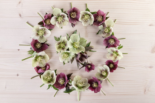 Flower wreath arrangement on light wood. Holiday wedding birthday mothers day  background