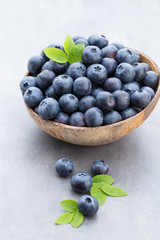 Fresh blueberries natural coconut in a bowl on a gray background.