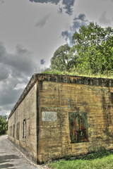 Fototapeta premium Feuilles d'érable en automne, Pyrénées