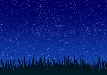 Fototapeta na wymiar Summer night landscape with grass leaves in the meadow and blue sky with shining and ligating stars. Beautiful romantic bright dark sky at night
