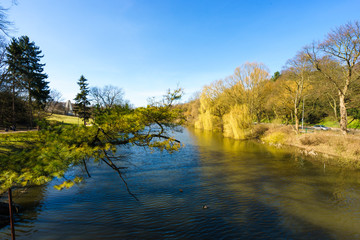 Fototapeta na wymiar river in a park on a sunny day