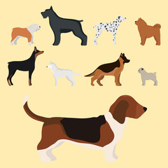 Funny cartoon dog character bread in cartoon style vector illustration.