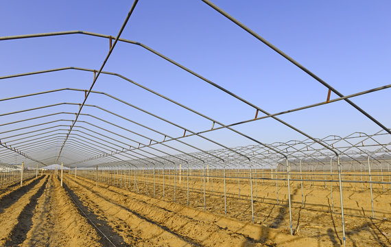 Steel Frame Structure Of Greenhouse