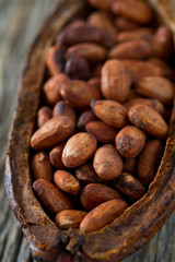 cocoa beans