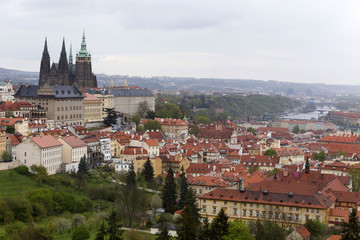Fototapeta na wymiar Spring Prague City with gothic Castle and the green Nature and flowering Trees, Czech Republic