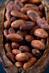 cocoa beans