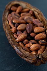 cocoa beans