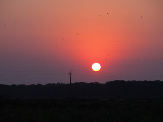 Fototapeta premium Sunset.