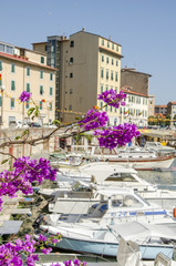 Porticciolo di Antignano (Livorno)