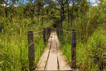 Rustic wooden bridge