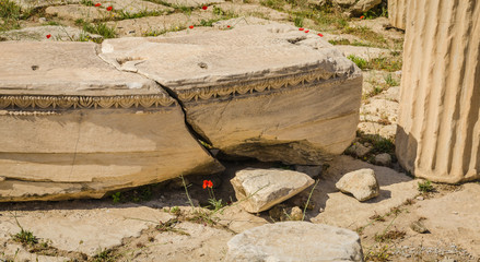 Ancient ruins and red poppy closeup, Acropolis, Athens.