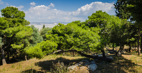 Panorama of Athens and trees on mountain, Greece.